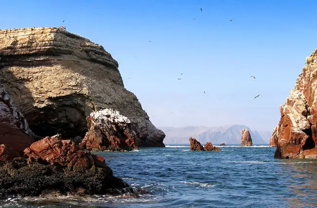 paracas tours from lima